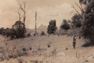 Sundari, degraded cattle pasture1977